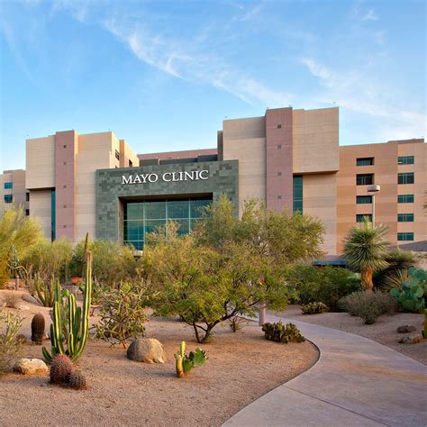 Staff skilled in dozens of specialties work together to ensure quality care and successful recovery. . Mayo clinic arizona specialties